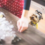 Christmas Baking: Our Little Helper